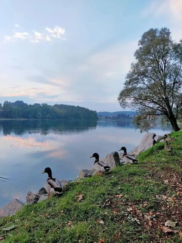 Your Place By The Lake - Near Leonardo Academy, Mxp Sesto Calende